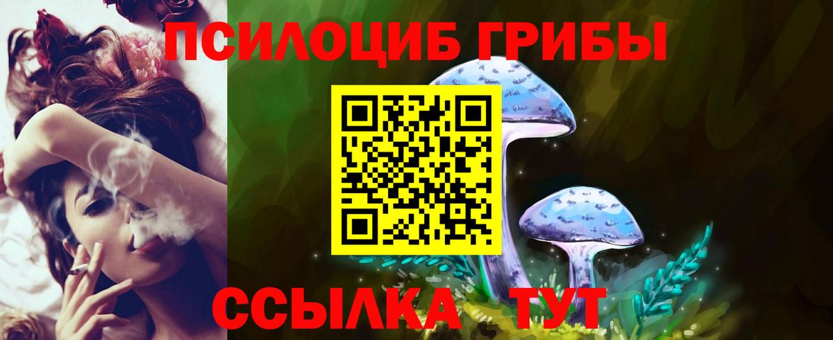 Псилоцибиновые грибы Psilocybine cubensis  Псилоцибиновые грибы Psilocybine cubensis  Вход с VPN  Великие Луки 