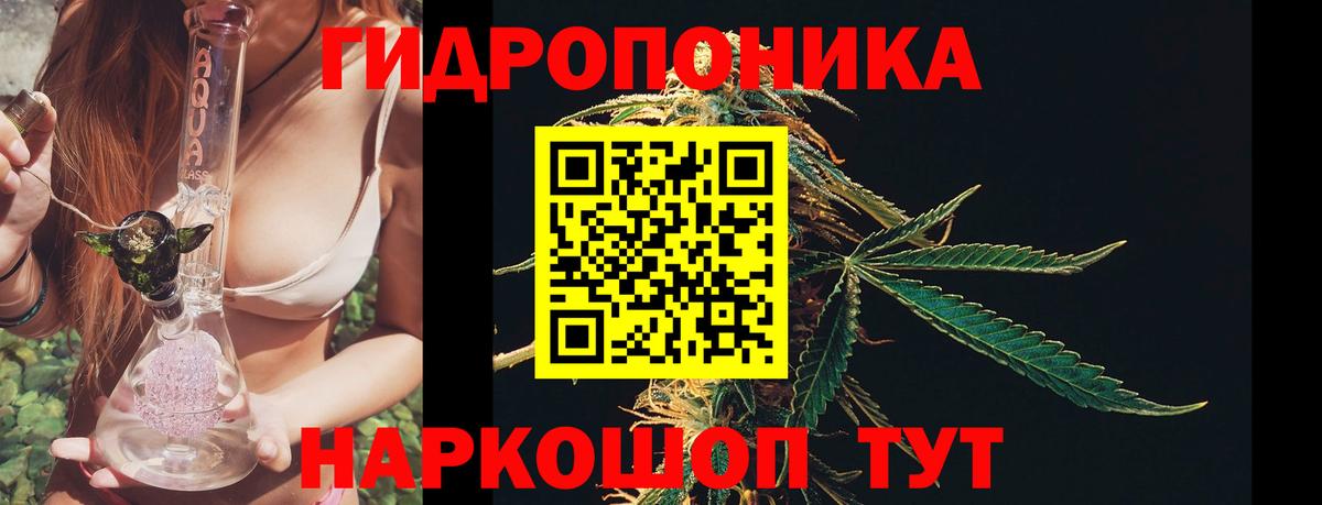 Каннабис Amnesia  Бошки марихуана план  Шишки марихуана конопля  Вход с VPN  Великие Луки  Марихуана сатива 